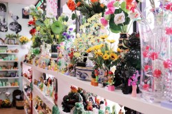 Thế Giới Âm Nhạc