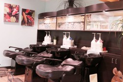 Vu Hair Salon