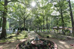 Tu Viện Trúc Lâm