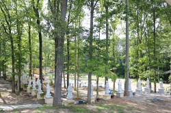 Tu Viện Trúc Lâm