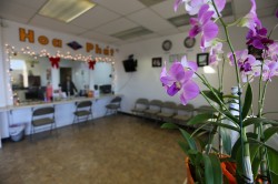 Chuyển Tiền Hoa Phát Atlanta