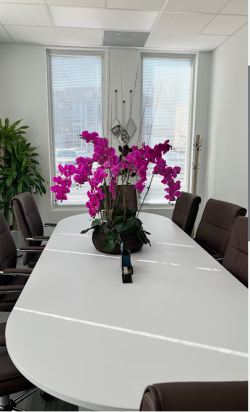 HUNG NGUYEN LAW FIRM